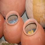 Vraj-Yatra-2014- (891)